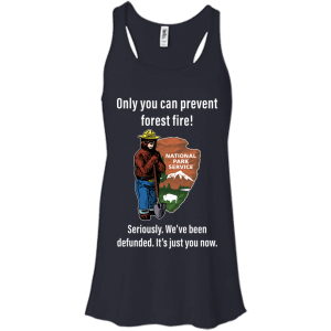 Smokey Bear: Only You Can Prevent Forest Fire Shirt, Hoodie, Tank - TeesGrab