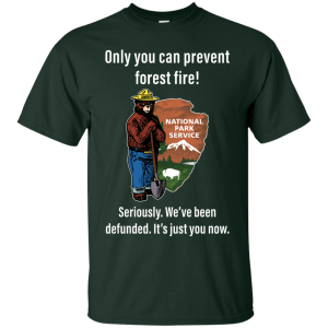 Smokey bear: only you can prevent forest fire shirt, hoodie, tank - teesgrab