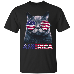 Independence Day America Cat Ameowica Shirt, Hooide, Tank - TeesGrab