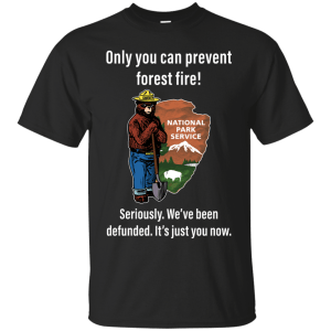 Smokey bear: only you can prevent forest fire shirt, hoodie, tank - teesgrab