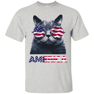 Independence Day America Cat Ameowica Shirt, Hooide, Tank - TeesGrab