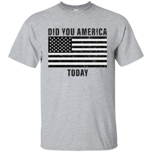 Did You America Today Shirt, Hoodie, Tank - TeesGrab